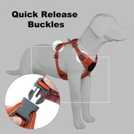 PLUTUS PET Arnés antitirones para Perros, con liberación en el Cuello, Acolchado Suave, Reflectante y Ajustable, para Perros pequeños, medianos y Grandes (Naranja, XS)