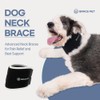 GRACE PET Premium Dog Neck Brace - Comfort, Support, Fast
