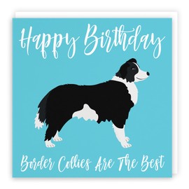 Hunts England - Border Collie Birthday Card - Border Collies Are The Best - For Mum, Sister, Grandma, Nana, Friend, Dog Lovers, Girlfriend, Wife, Women - Iconic Collection - Funny Card