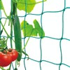 Miuezuth Premium Trellis Net with large mesh size for particularly