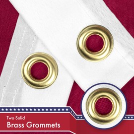 G128 10 Pack: Florida State Flag | 3x5 Ft | LiteWeave Pro Series Printed 150D Polyester | Indoor/Outdoor, Vibrant Colors, Brass Grommets, Thicker and More Durable Than 100D 75D Polyester