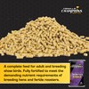 Formula of Champions Fancy & Feathered Show Bird Mini Pellet,