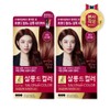 Elastane Salon de Color Wine Brown 100G x 2 / 엘라스틴 살롱드컬러 와인브라운 100G x 2개