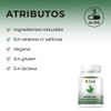 Bio B | Moringa 60 cápsulas veganas | Antioxidante, Antiinflamatorio.