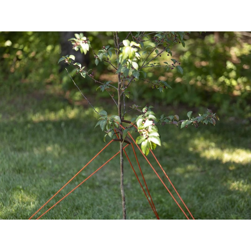 MASTER MARK Tree Staking Kit