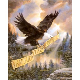 America Beautiful Paper Tole 3D Decoupage Craft Kit size 16x20 inch 18987