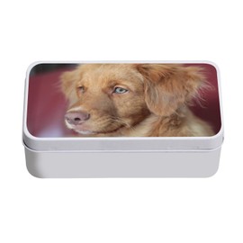 Fabulous Metallbox Welpe Retriever der neuen Schottland Baby Hund niedlich – 11 x 18,5 x 5,5 cm – Aufbewahrungsbox, Schlüssel, Werkzeug, Brotdose, Zucker, Kekse