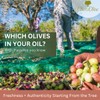 Olio&Olive Paradiso Italian First Cold Pressing Extra Virgin Olive Oil