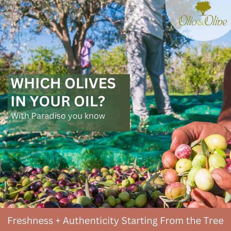 Olio&Olive Paradiso Italian First Cold Pressing Extra Virgin Olive Oil