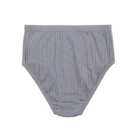 KNITLORD Women's Plus Size Underwear Cotton 6 Pack Comfort Briefs Panties(2XL)