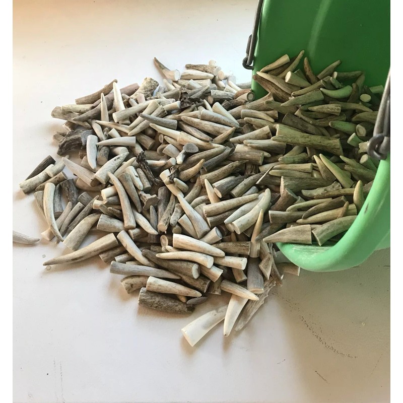 FIFTY-PACK (50) Natural Elk/Deer Antler Tips (A,B, & C Grades)