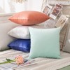 MIULEE Set of 2 Velvet Cushion Covers, Cushion Case, Decorative