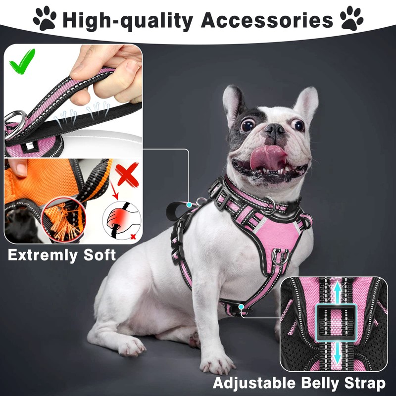 WINSEE Pet Harness Collar and Leash Set, All-in-one Reflective Dog