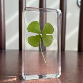 Lyntrique Real 4 Leaf Clover in Lucite – Lucky Charm Desk & Shelf Decor, Birthday Gifts for Women, Anxiety Relief & Self Care Gifts, Retirement, Graduation & Thank You Keepsake