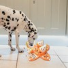 Dog Foraging Mat - Peel and Orange Snuffle Toy |