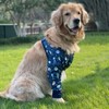 HDKUW Dog Elbow Protector for Calluses, Dog Joint Recovery Sleeve