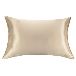 Celestial Silk 100% Silk Pillowcase for Hair Zippered Luxury 25 Momme Mulberry Silk Pillow Slip (King, Taupe)