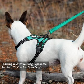 Padded Handle Dog Lead, Double-Sided Reflective Nylon Leads for Training, Walking Leash for Small, Medium Dogs