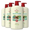 Old Spice Body Wash for Men, Fiji with Palm Tree
