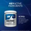 Bcaa Powder 50 Serv Gat Sport Aminoacidos Es