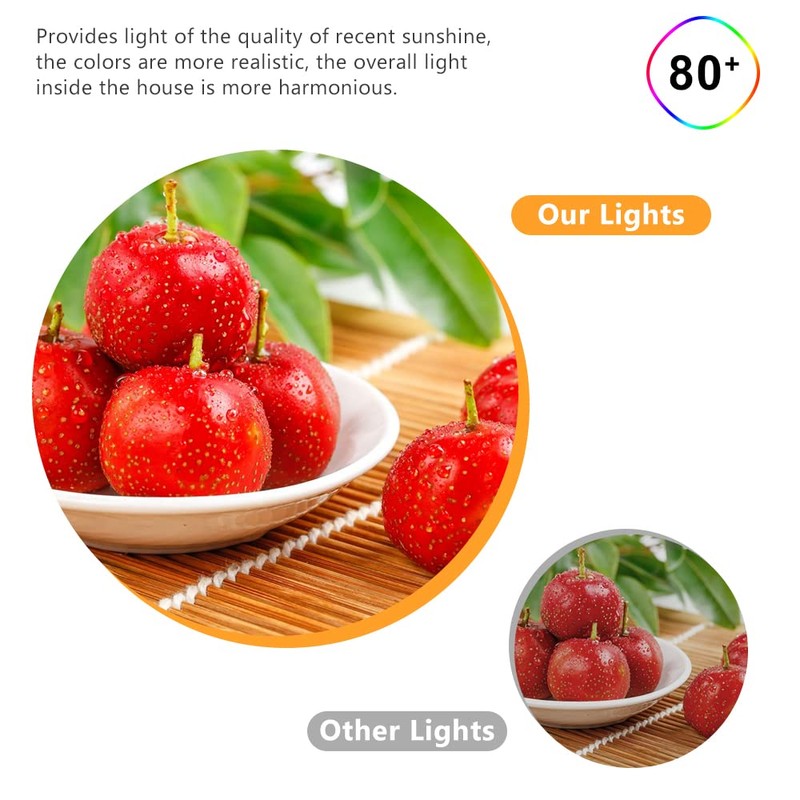 2 Inch LED Downlight, 3W Recessed Lighting Dimmable Ceiling Light