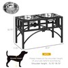 PawHut Elevated Dog Bowls, Double Stainless Steel Heavy Duty Dog
