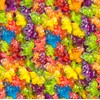 HARIBO Gummi Candy, Unicorn-i-licious Gummy Candy, 5 Oz Bags (Pack