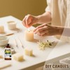 Honeysuckle Essential Oil, Honeysuckle Oil 16 Fl Oz 480ML for