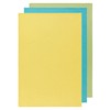 Now Designs Floursack Kitchen Dish Towels,Cotton, Chartreuse/Turquoise/Leaf 20 x 30in,
