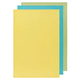 Now Designs Floursack Kitchen Dish Towels,Cotton, Chartreuse/Turquoise/Leaf 20 x 30in, Small, Set of 3