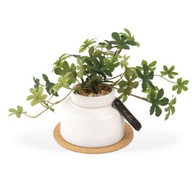 Kishima KH-61254 Artificial House Plants, Fake Green, Artificial Plants, Never Wither, Artificial Flowers, Green, Catalyst, Deodorizer, Antibacterial, Air Purifier, Sugarpine, Medium Size