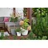 Tymar Flowerpot, pack of 2, round shape, planter, crochet look