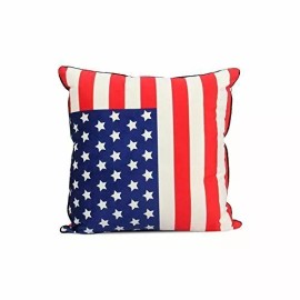 Unspecified REMSOFT Square Microfiber Sofa Cushion Decorative Pillow 18 X 18 Inch American F