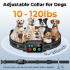 AI Dog Shock Collar 2 Dogs (10-120Lbs) - 3300FT Dog