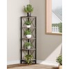 CHOEZON 5-Tier Corner Shelf, Corner Bookcase, 55.2" Tall Vertical Display