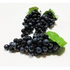 V517N Grape Sample Realistic Food Sample Fruit Fruit Display Ornament