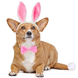 BoomBone Disfraz de Conejo para Perro, Orejas y Cola de Peluche Blanco y Rosa, Ajustable, Perfecto para Pascua, Halloween y Fiestas