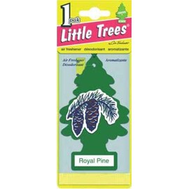 LITTLE TREES Car Air Freshener | Hanging Paper Tree for Home or Car | Royal Pine | 24 Pack