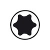867/1BTZ Torx Bit 066126_1361 Blade Tx25