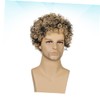 LALAFINA 2pcs Fashion Synthetic Wig for Men Short Curly Hairpiece