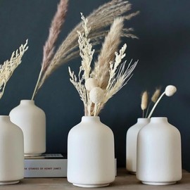 Carrot's Den - Juego de 6 jarrones pequeños de cerámica Blanca para decoración del hogar, jarrones Bohemios para Flores secas + Plantas de casa, Boda, hogar, Centro de Mesa, Moderno, Minimalista