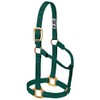 Weaver Leather Original Non-Adjustable Nylon Horse Halter, Weanling/Pony, Hunter Green