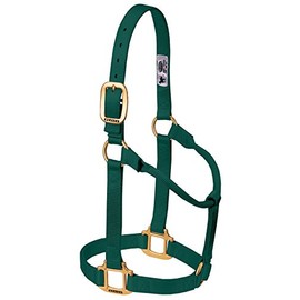 Weaver Leather Original Non-Adjustable Nylon Horse Halter, Weanling/Pony, Hunter Green