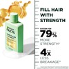 Garnier Fructis Hair Filler Strength Repair Shampoo with Vitamin Cg,