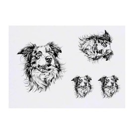 4 x 'Australian Shepherd Portrait' Temporary Tattoos - Water Resistant, Skin-Safe, Non-Toxic Transfers, Mixed Sizes (TO00083574)