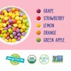 YumEarth Giggles Fruity Candy Pack Organic Vegan Allergy Friendly Treats