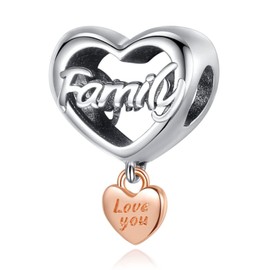 Annmors Love Family Charm 925 Sterling Silver Beads Dangle Charm,Compatible with European Bracelet and Necklace,Birthday Mother's Day Gifts for Women Wife