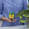 Miracle-Gro Water Soluble All Purpose Plant Food, Fertilizer for Indoor
