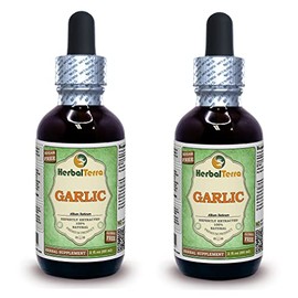 Garlic (Allium Sativum) Glycerite, Organic Dried Alcohol-Free Liquid Extract (Brand Name: HerbalTerra, Proudly Made in USA) 2x2 fl.oz (2x60 ml)