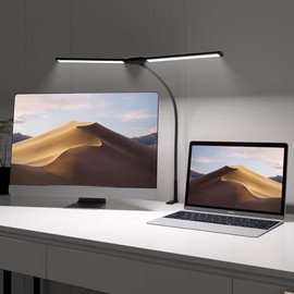 ROWYOU LED Desk Lamp for Office Home